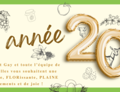Les voeux du président