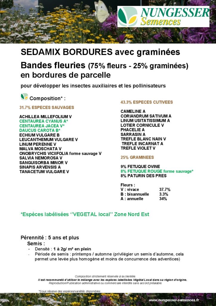 #E_abeilles_ressources_2026_semencesméllifÚres3