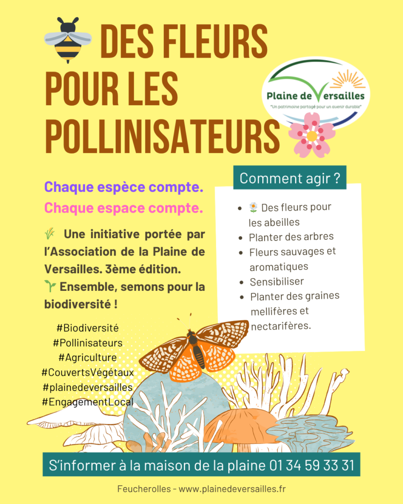 des fleurs pollini 032026 (Publication Instagram (45)) (1)